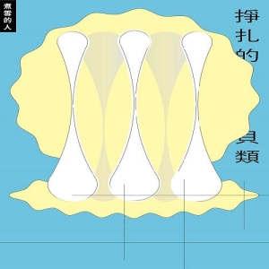 掙扎的貝類