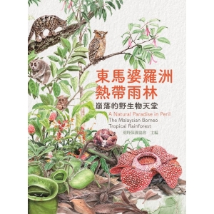 東馬婆羅洲熱帶雨林:崩落的野生物天堂