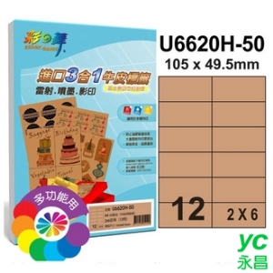 彩之舞 U6620H-50 進口3合1牛皮標籤 2x6／12格直角(105*49.5mm) - 50張/包