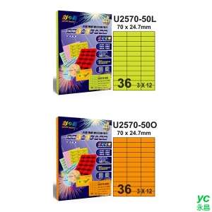 彩之舞 進口3合1彩色標籤(螢光色) 3x10 30格直角 50張入 / 包 U2570-50L/U2570-50O