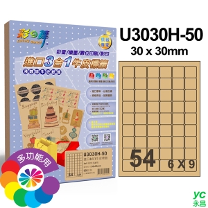 彩之舞 進口3合1牛皮標籤 6x9圓角 54格留邊 淺咖啡 50張入 / 包 U3030H-50