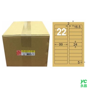 【龍德】A4三用電腦標籤 24x99mm 牛皮紙1000入 / 箱 LD-851-C-B