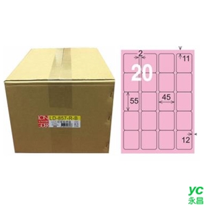 【龍德】A4三用電腦標籤 55x45mm 粉紅色1000入 / 箱 LD-857-R-B