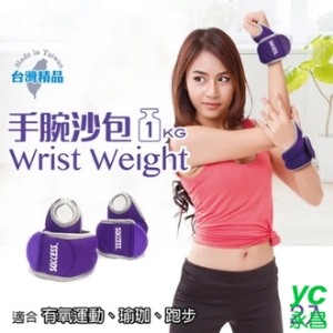 成功 手腕 1kg 沙包 /對 S5230