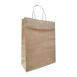 壯佳果 120P 牛皮空白紙袋 本牛紙繩提袋 手提紙袋（小）22x28x9cm 24個入 /組 31-2