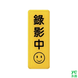ZG1 彩色 TS 貼牌 錄影中-標示牌 / 個 TS-332