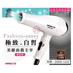 【日象】時尚靚白吹風機 1000W 低電磁波 低噪音 三段溫控 過熱保護 掛勾設計 造型沙龍美髮專用 ZOED-1222