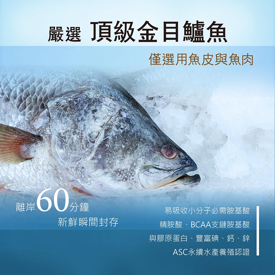 香檳茸鱸魚淬禮盒 60ml 10入 盒 樂活生技香檳茸購物網 I郵購 Postmall